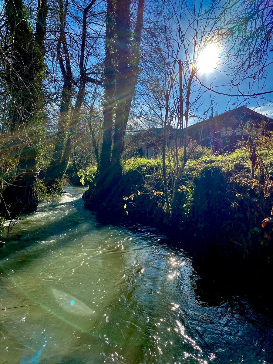 La rivière en hiver, Moulin de Canole